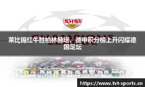 tvt体育平台