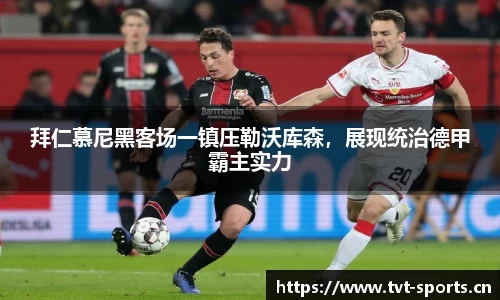 tvt体育