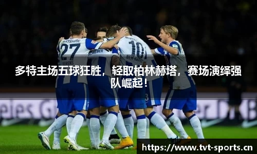 tvt体育官方网站