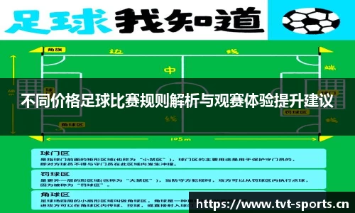 不同价格足球比赛规则解析与观赛体验提升建议