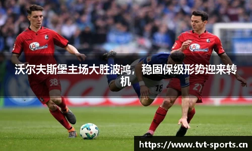 tvt体育平台