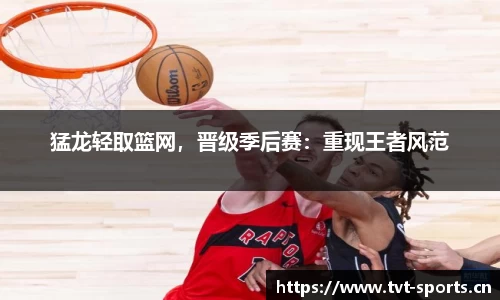 tvt体育官网