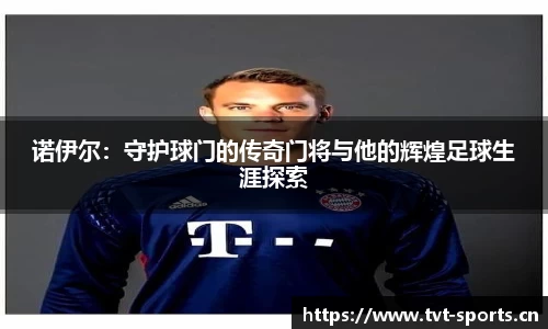 tvt体育官方网站