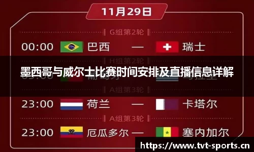tvt体育平台