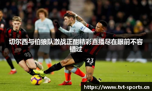 tvt体育官网