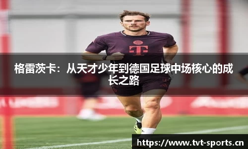 tvt体育官方网站