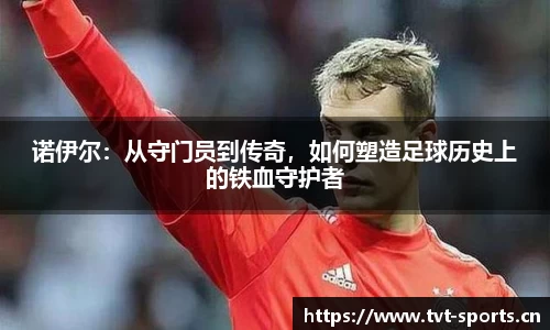 tvt体育官网
