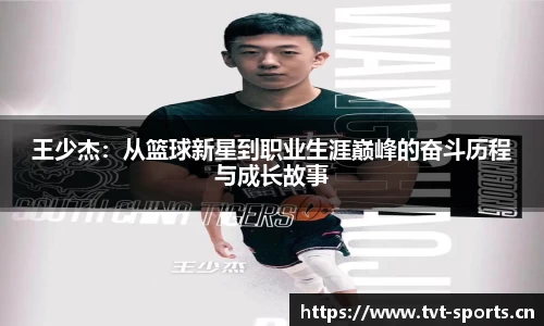 tvt体育官方网站