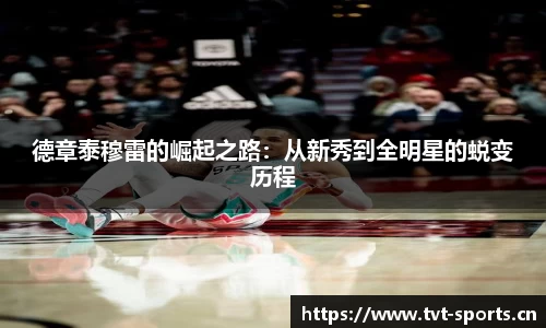 tvt体育官方网站